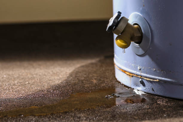 Best Water damage restoration mold remediation  in Vonore, TN