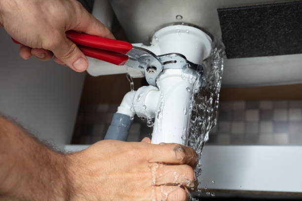Best Mold removal after water damage  in Vonore, TN
