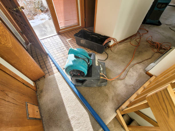 Best Water damage cleanup near me  in Vonore, TN