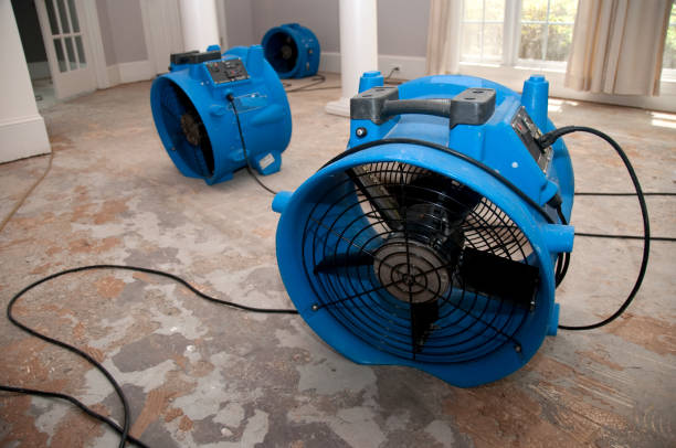 Water damage restoration mold remediation in Vonore, TN