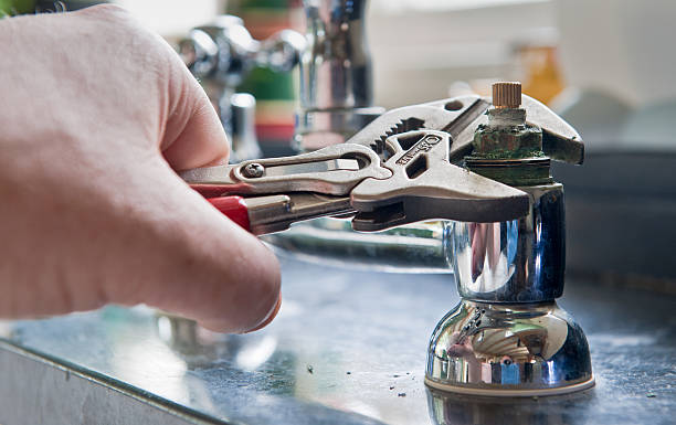 Best Local water damage restoration  in Vonore, TN
