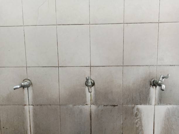 Best Water damage cleanup near me  in Vonore, TN