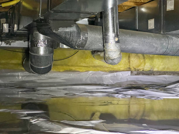 Best Ceiling water damage repair  in Vonore, TN