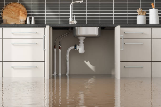 Best Carpet water damage restoration  in Vonore, TN