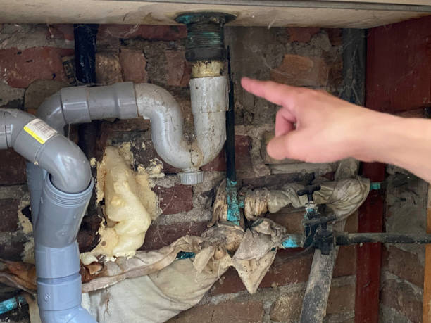 Best Fire Damage Restoration  in Vonore, TN
